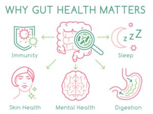 Gut health